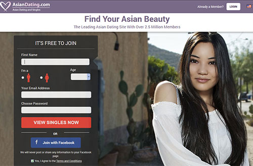 Asian Dating Review 2019